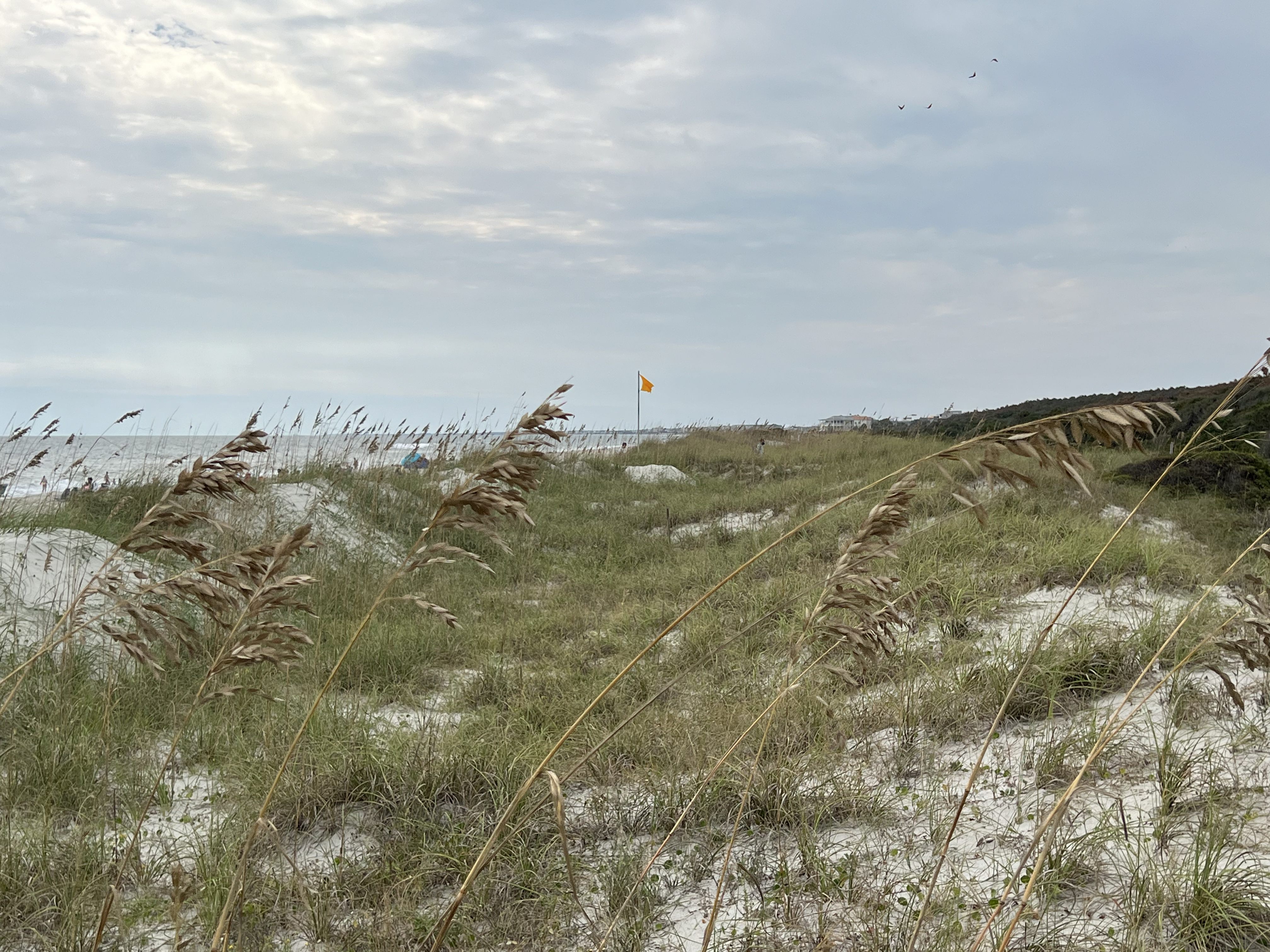 ./2024/10 - Myrtle Beach/IMG_2971.jpg